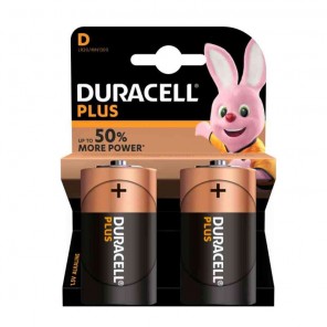 Pile Duracell tipo torcia D Blister 2 pile